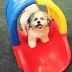 Meet your Posher, Douglas